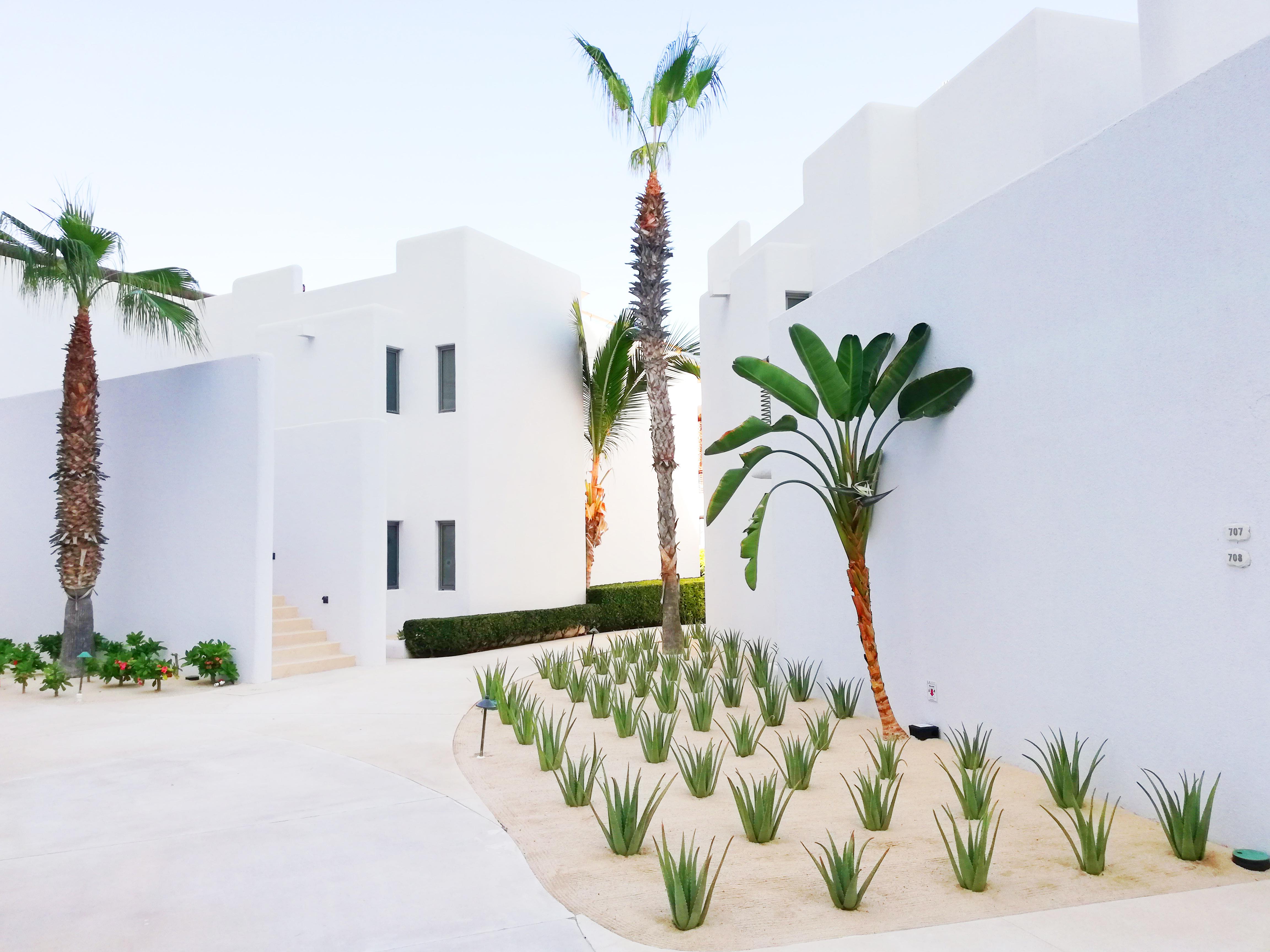 Marquis Los Cabos, An All - Inclusive, Adults - Only & No Timeshare Resort San José del Cabo Exterior foto